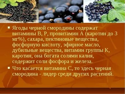 Смородина содержит