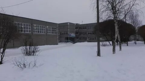 Школа 41 вологда
