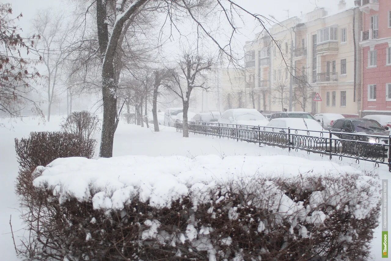 Снегопад в городе. Тамбов снегопад. Снег в Тамбове. Тамбов зима. Почему на улице снег