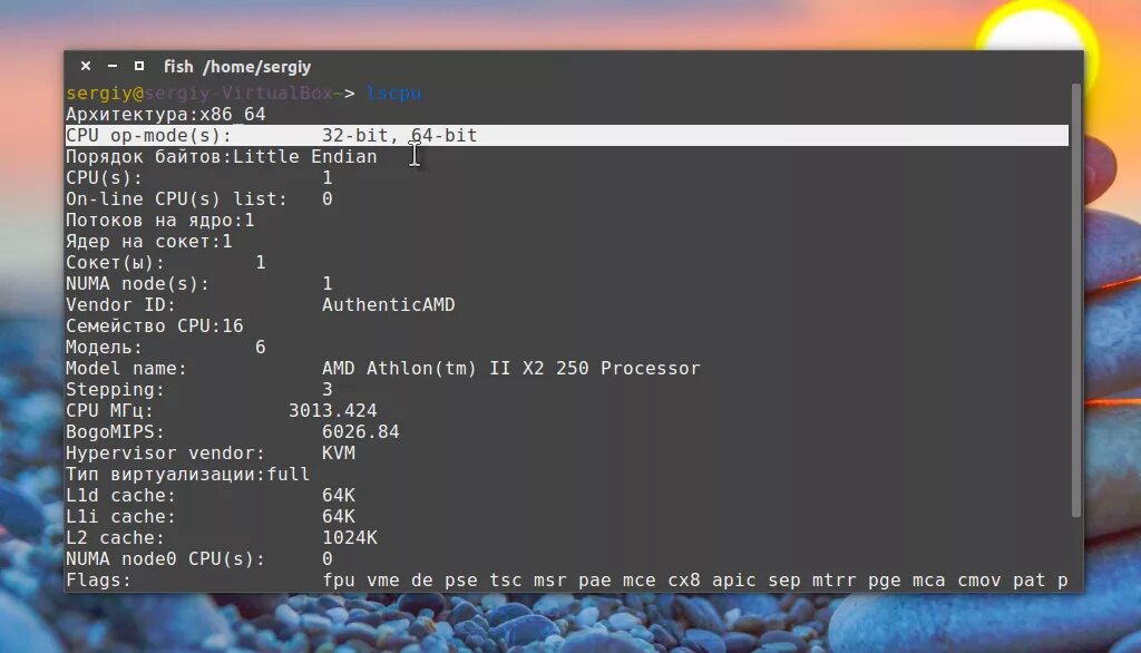 Выбрать версию linux. Linux процессор. версия linux команда. команда для просмотра версии linux. 64-разрядная версия ubuntu x86 для ноутбука.