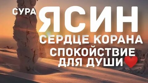 Для успокоения души слушать коран и сердца