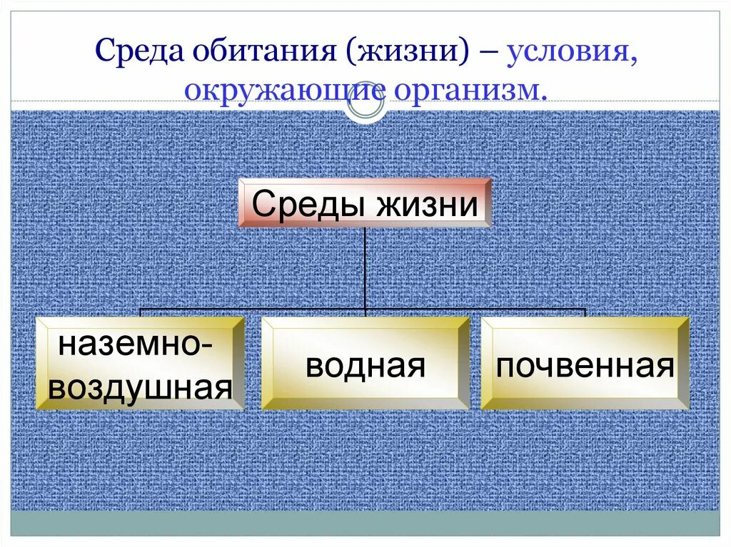 Условия жизни организмов в почвенной среде. Среда обитания это условия окружающие организмы. Среды жизни. Среды жизни организмов. Среда.