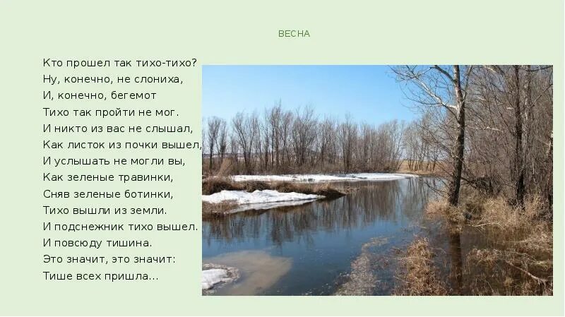 А почему здесь так тихо. Стихотворение кто прошёл так тихо-тихо. Кто пришел так тихо тихо ну конечно не слониха. Кто пришел так тихо тихо ну конечно не слониха стих.