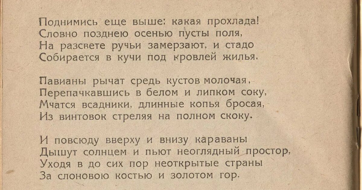 Солнце жгло немилосердно. Гумилев лето стих.