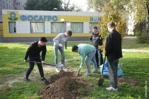 Посадка омск