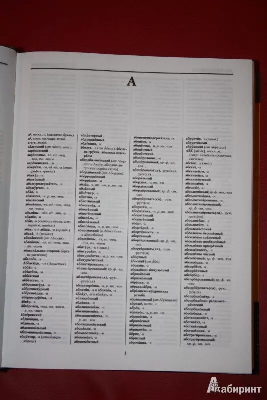 Русский Орфографический словарь (Лопатин в.в.) — около 200 000 слов.. Орфографический словарь русского языка Лопатин. Орфографический словарь в в Лопатина 1999. Орфографический словарь в. в. Лопатин.. Институт русского языка словари