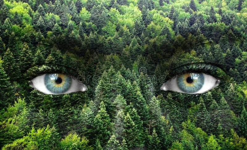 Глазок лесной. Глаза природы. Отражение леса в глазах. Глаза в лесу. Лесные глаза.