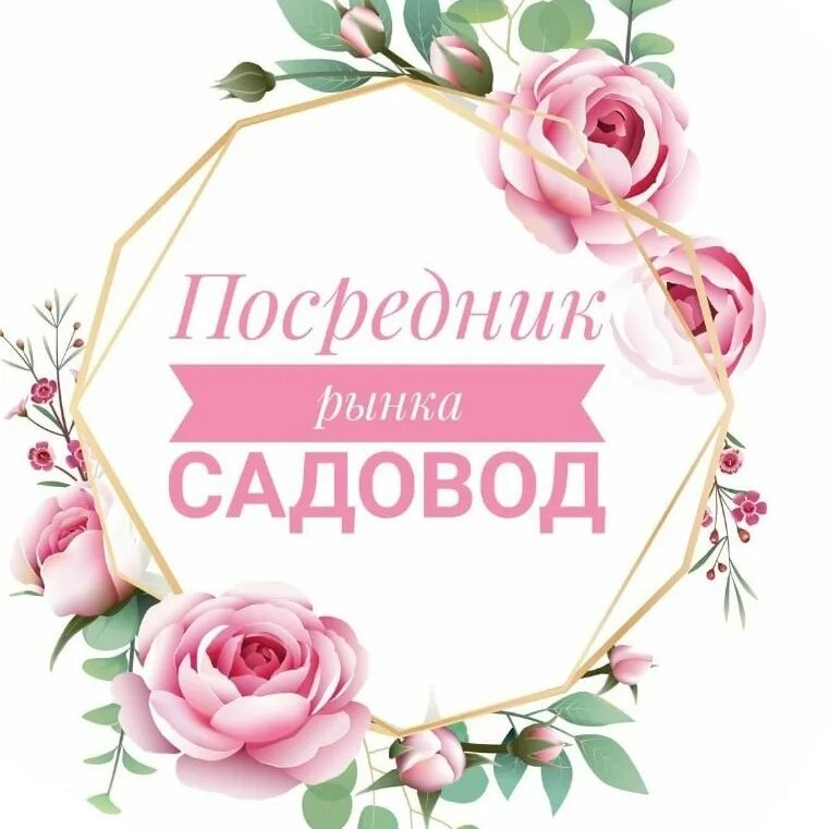 Посредник рынка садовод 10. Посредник садовник. Садовод рынок логотип. Посредник садовод. Посредник садовод 10.