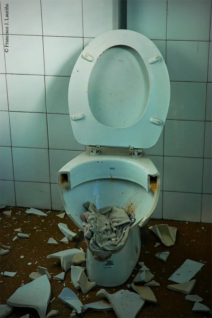 Воровали унитазы. Воровали унитазы. Украинский унитаз. Украинский унитаз. Золотой туалет януковича.