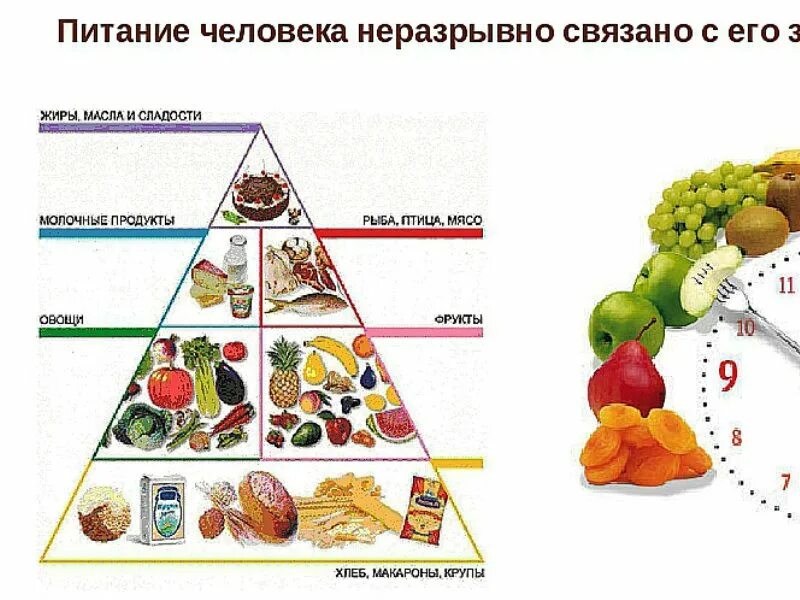 Тест по правильному питанию. Схема правильного питания. Основы правильного питания для похудения. Основы правильного питания для похудения в схемах. Основы правильного питания для женщин.