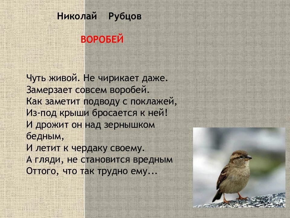 Кто автор стихотворения воробей. Стихотворение птичка. Кто автор стихотворения воробей. Кто автор стихотворения воробей. Где обедал воробей?.
