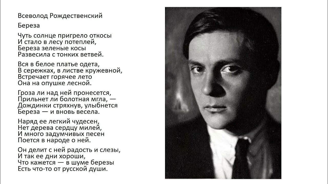 Стихотворение Всеволода Рождественского берёза. Стихотворение Всеволода Рождественского русская природа. Прочитайте стихотворение рождественского