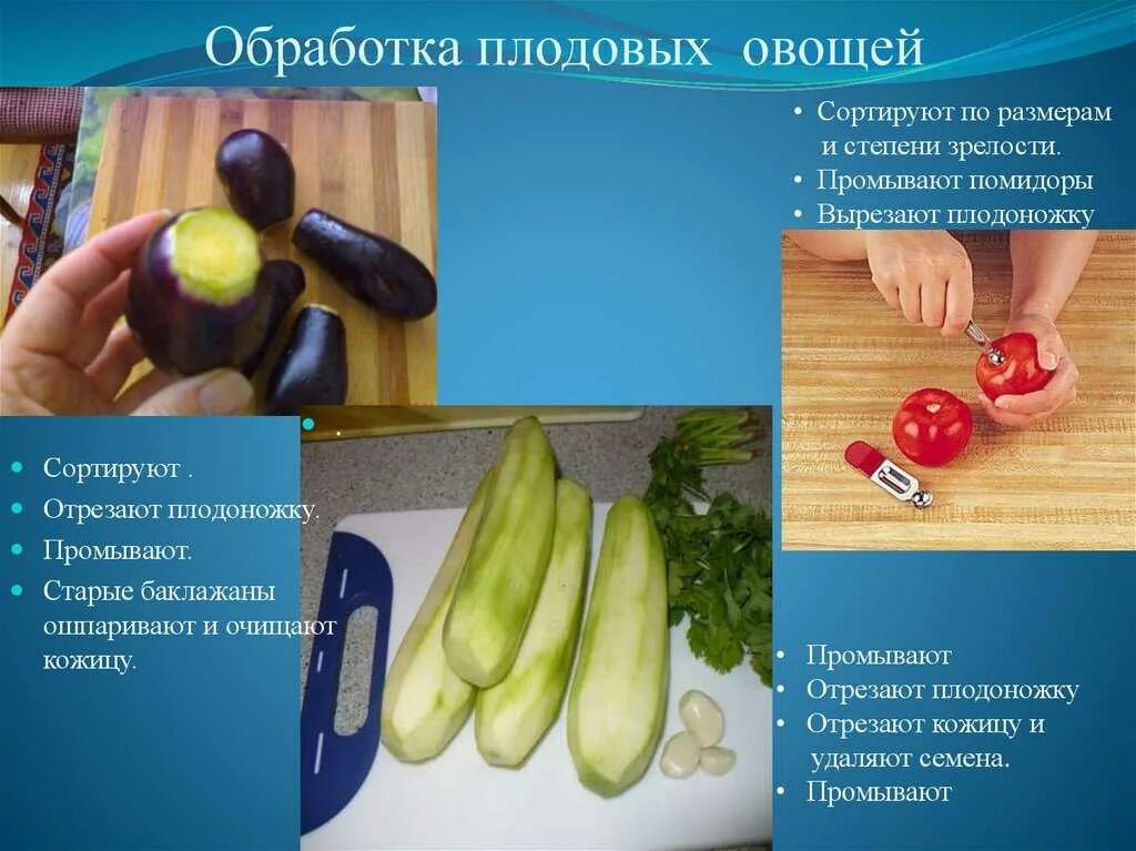 Кулинарная обработка луковых. Первичная механическая обработка овощей. схема механической кулинарной обработки овощей. первичная обработка плодовых и салатных консервированных овощей. механическая кулинарная обработка плодовых овощей.