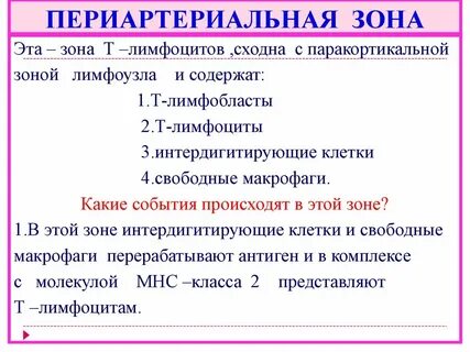 Зона т 1