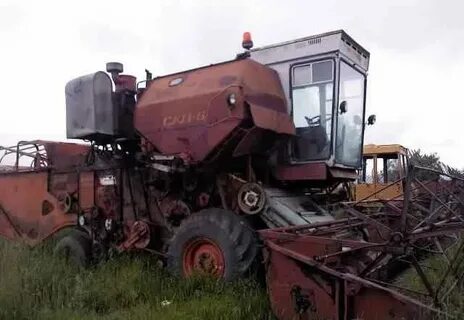 Сибиряк 6