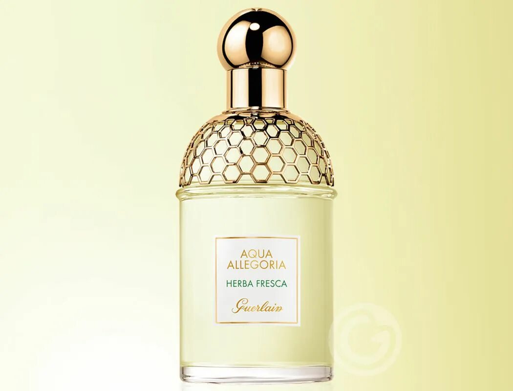 Guerlain Aqua Allegoria herba fresca. Guerlain Aqua Allegoria. Духи Aqua Allegoria herba fresca. Аква аллегория Херба фреска. Guerlain aqua allegoria fresca