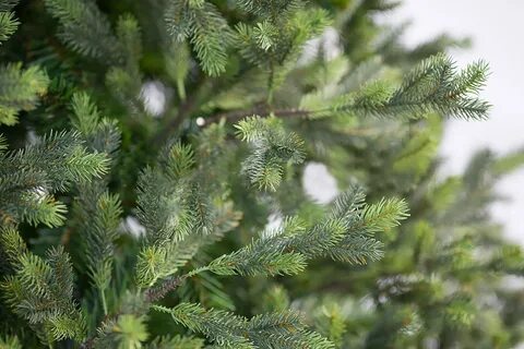 Сказочная ель