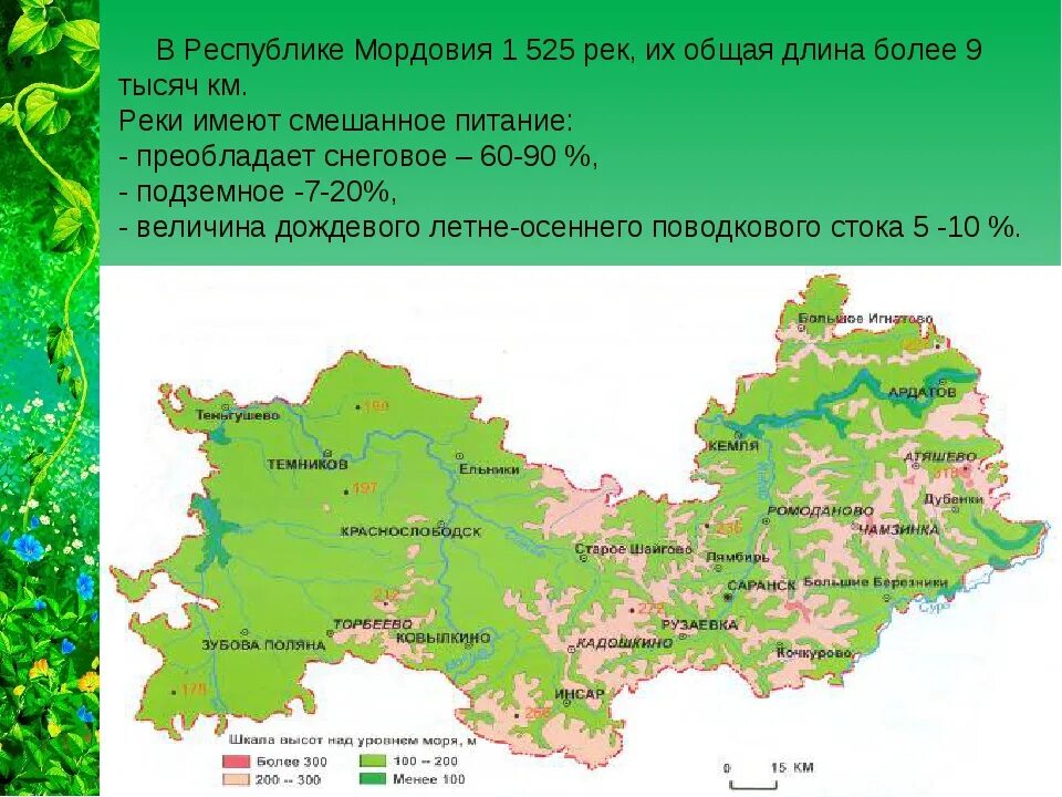 Какая природная зона в пензенской области. Природные зоны Мордовии карта. Природные зоны Мордовии. Карта лесов Мордовии. Физическая карта Мордовии.