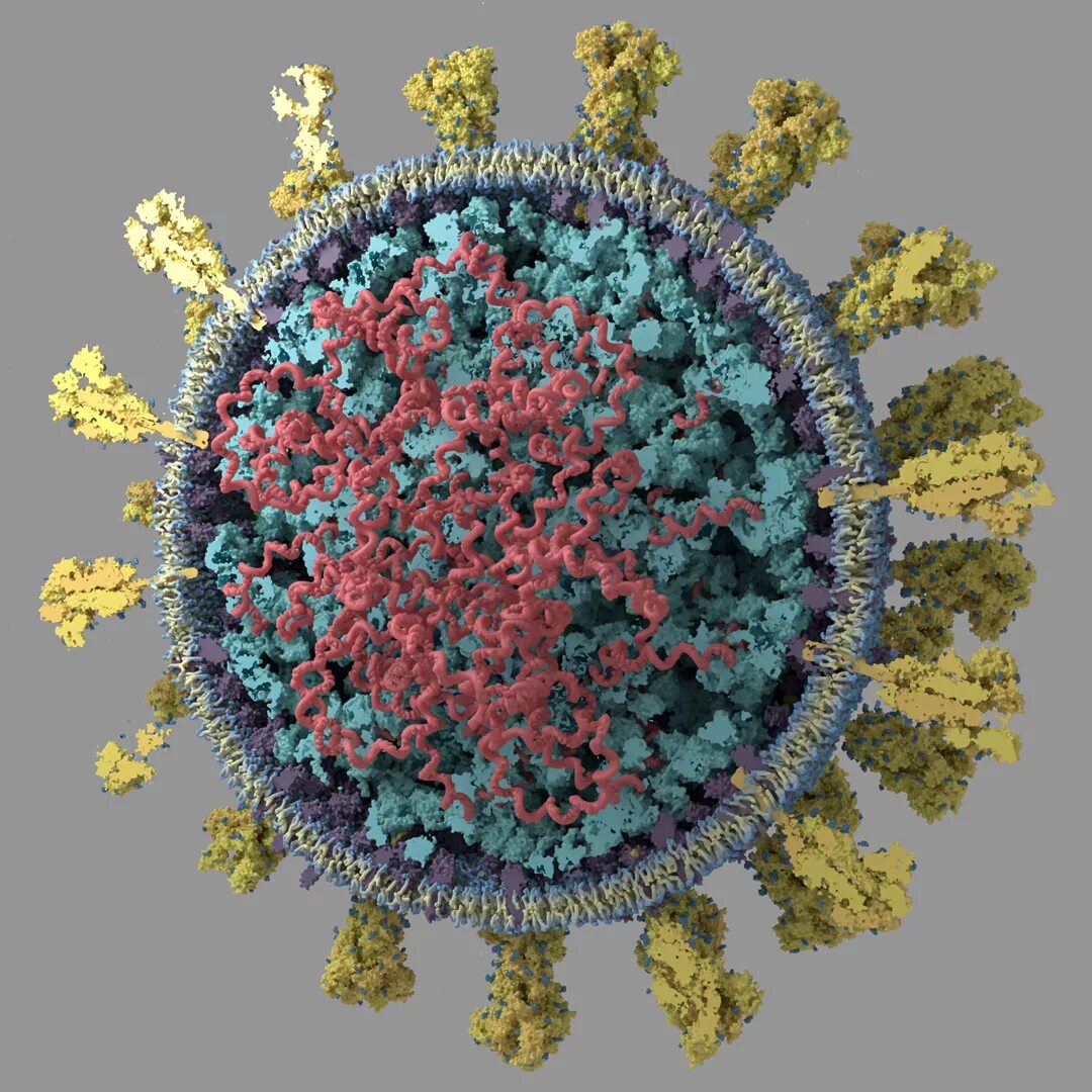 Коронавирус SARS. Коронавирус SARS +3.8. Коронавирус молекула. Вирус SARS-cov-2 под микроскопом.