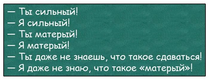 Я даже не знаю что такое матерый. Игра слов цитаты смешные. Ты сильная я сильная ты матерая я матерая. Что такое матерый. Да я даже не знаю что такое матерый.