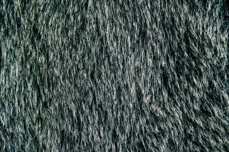 John has to use artificial fur because. Мех texture hair and fur. Енот шерсть текстура. Мех енота фактура. Искусственная шерсть енота.