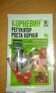 Корневин чем заменить для укоренения черенков