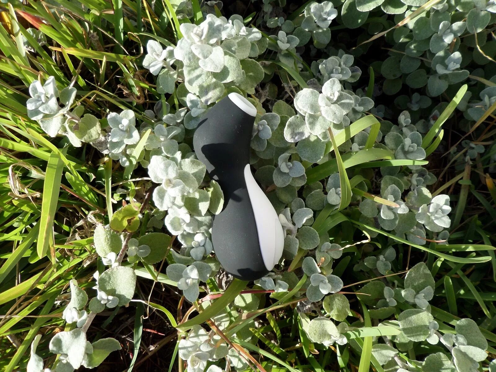 Pro penguin next gen. Сатисфайер пингвин. вибрирующий пингвин. сатисфайер кролик. satisfyer pro penguin next generation.