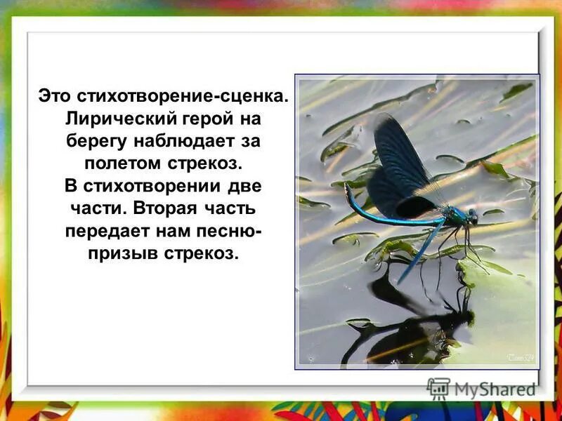 анализ стихотворения где гнутся над омутом лозы. де гнутся над омутом лозы…»?. где гнутся 6 над омутом лозы. где гнутся над омутом лозы стих. где гнутся над омутом.
