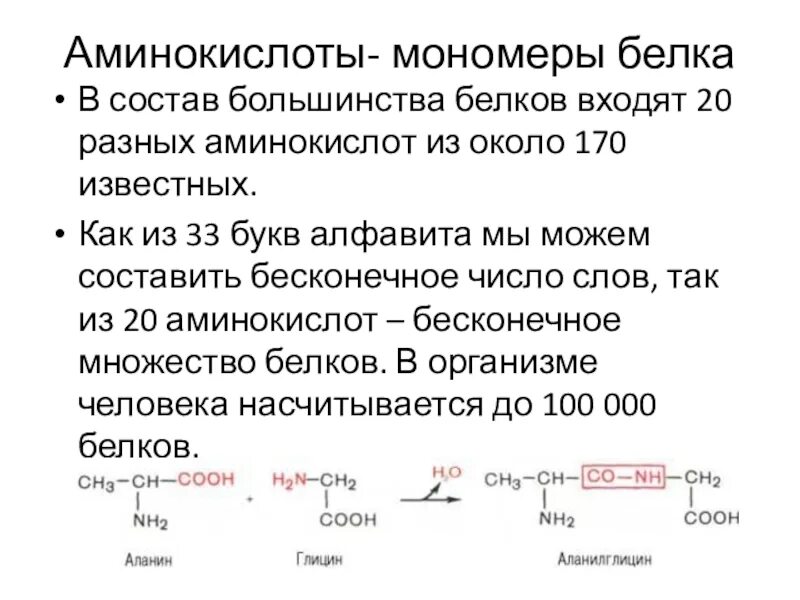 Соединение мономера белка. Строение мономера белков. Белки строение мономера. Аминокислоты как мономеры белков строение количество видов примеры. Строение аминокислоты белка.