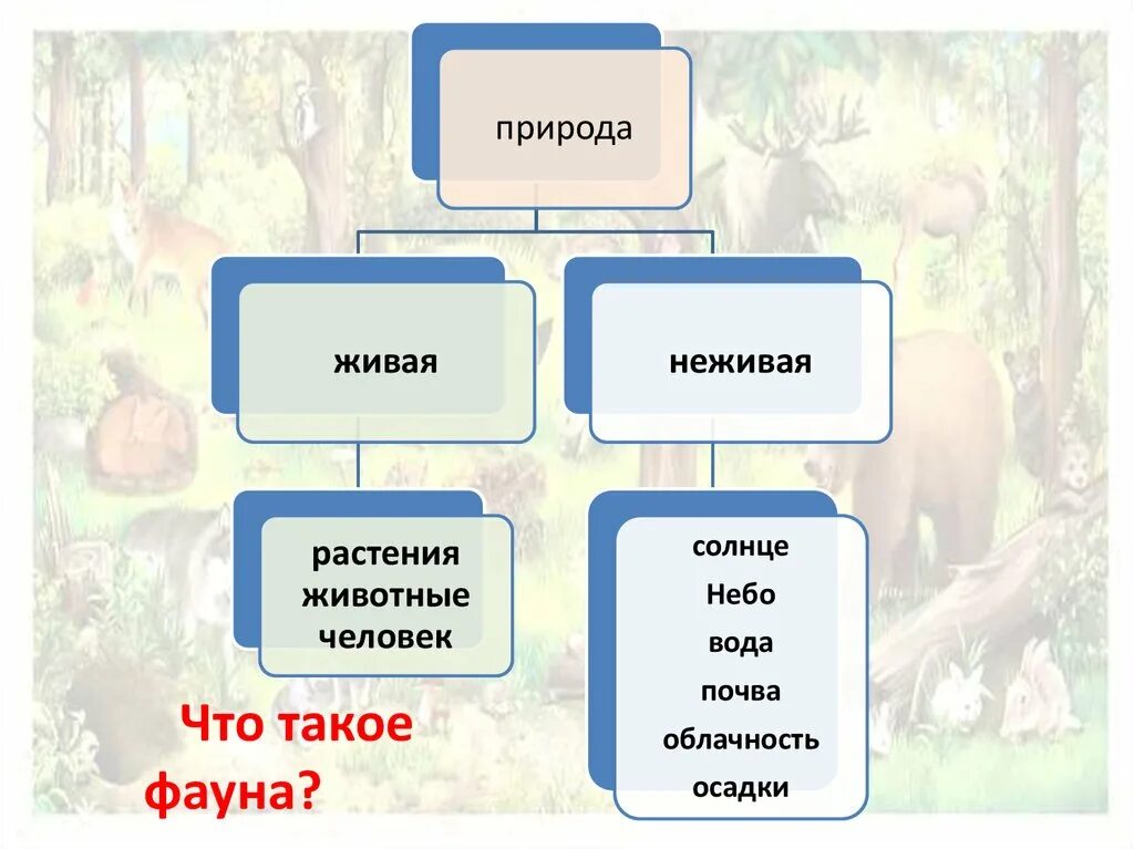 Живая и неживая природа. Растения с неживой и живой природой. Живая неживая растения … Животные … … …. Лес это Живая или неживая природа.