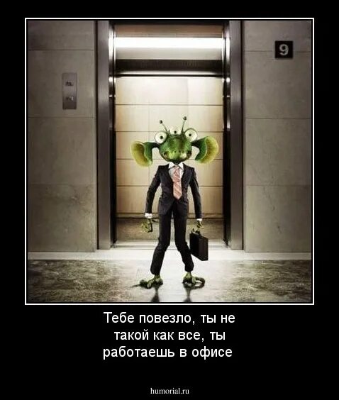 Тебе повезло ты не такой как все. Тебе повезло ты не такой как все ты работаешь в офисе. тебе повезло ты не такой как. тебе повезло ты не такой как все ты. новый сотрудник прикол.