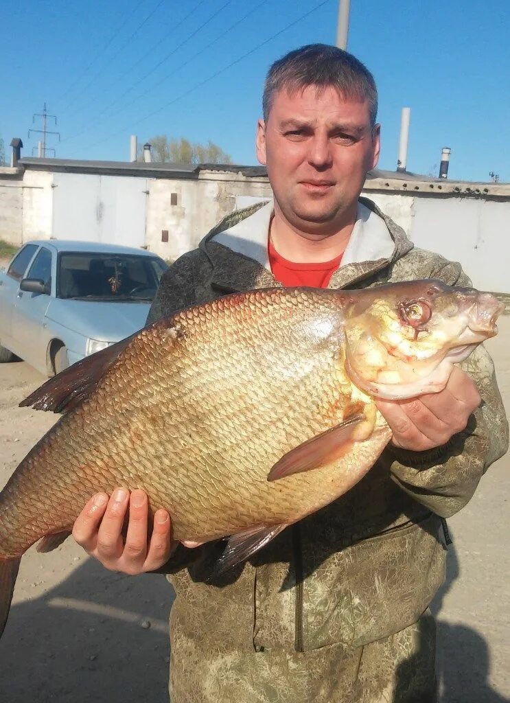 Лещ 2 кг. Лещ 1. Лещ 3. 5 кг. Лещ 2 кг.