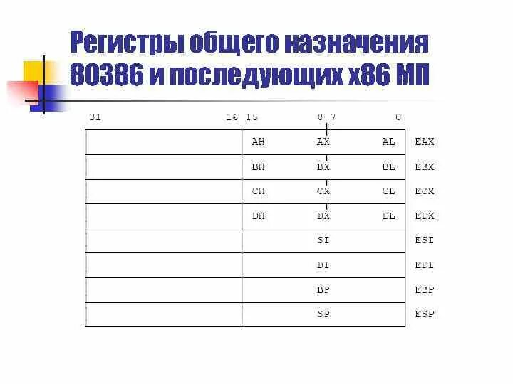 Регистр ссылок. Регистры общего назначения. Регистры общего назначения МП это. Разрядность регистров общего назначения. Функции регистров общего назначения.