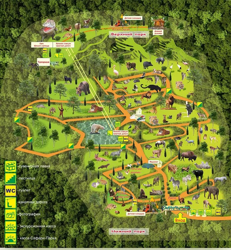 Схема парка с животными. Схема сафари парка. Схема сафари. Сафари парк геленджик план парка. Схема сафари.