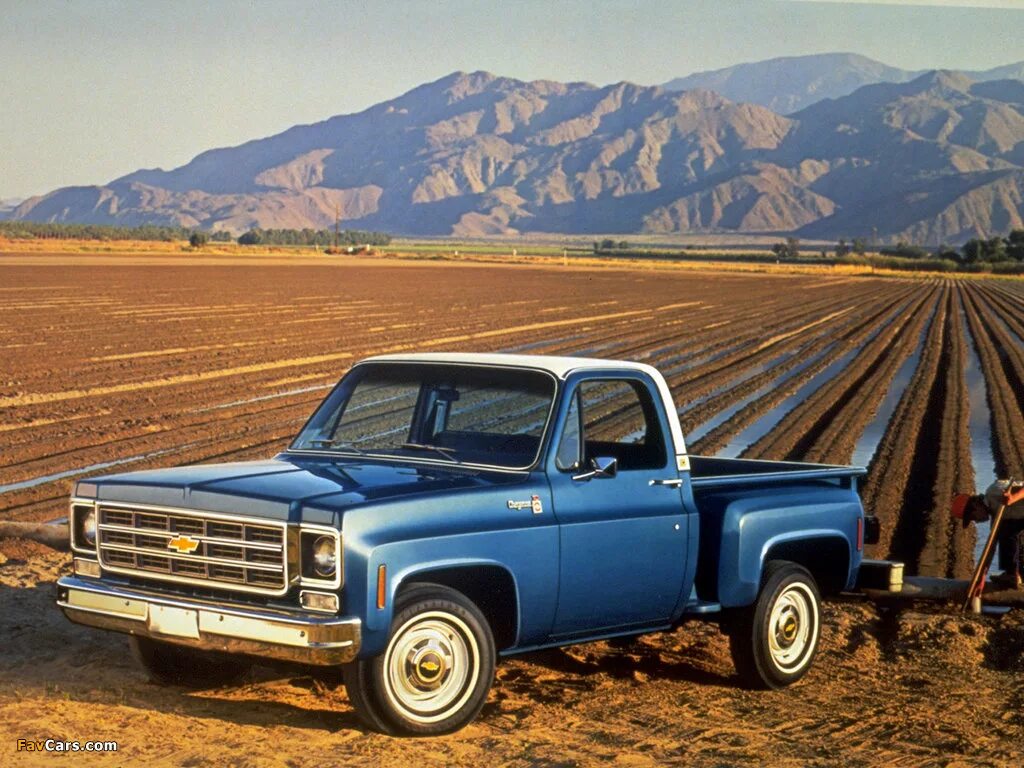 Ford f 250 ranger. Ford f150 1976. форд ф 150 1980. Chevrolet c10 pickup. Ford f series 1956.