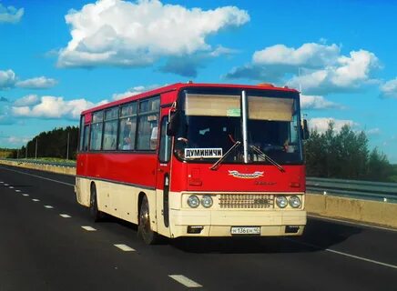 Автобус калуга сухиничи завтра