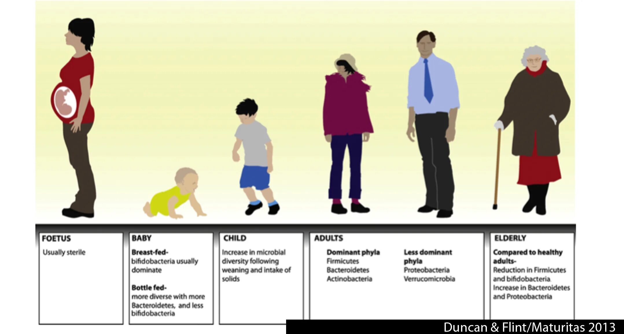 The Evolution of Aging. Homelinic personal-Aging. Personality Aging. Ageing insecurity.