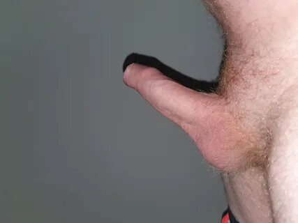 File:Erigierter Penis mit Schamhaar.jpg - Wikimedia Commons