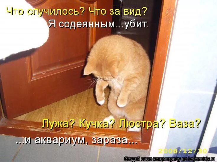 Я тащился по улице и вдруг