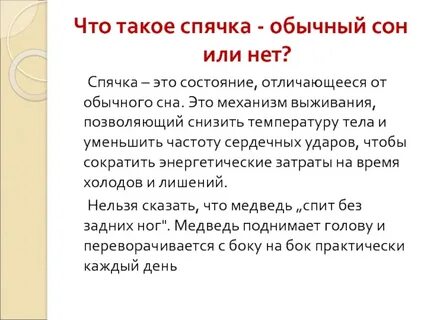 Что такое спячка