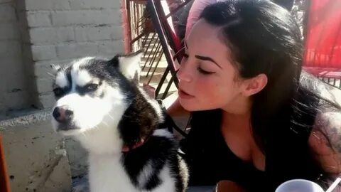 Veronicasilesto - vikrantholidays.com 