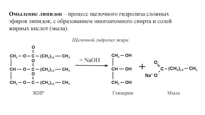 При щелочном гидролизе образуется