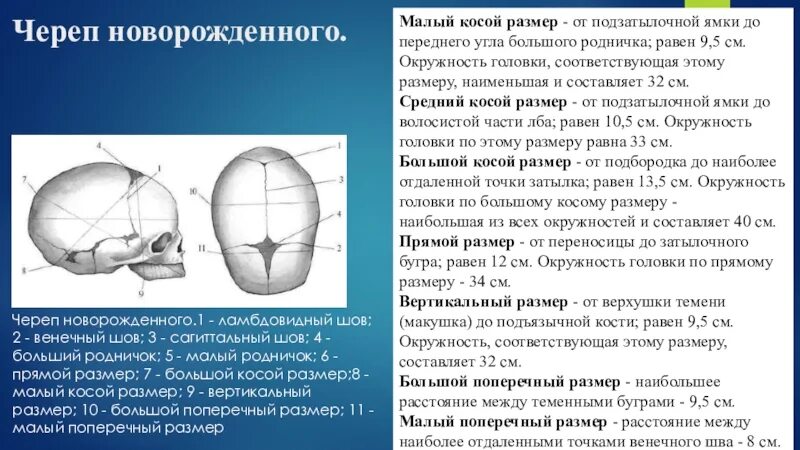 Малые размеры большого родничка