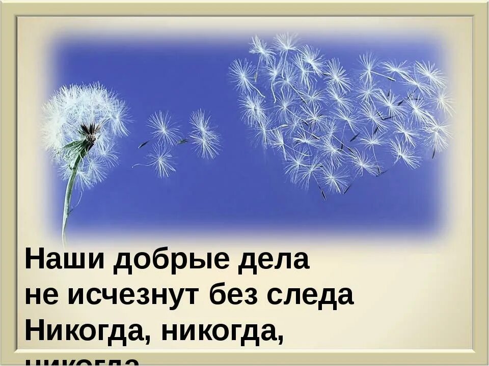 Добрые добрые добрые ваши глаза. Наши добрые дела. не жалейте доброты. не жди благодарности за добрые дела. доброта вознаграждается.