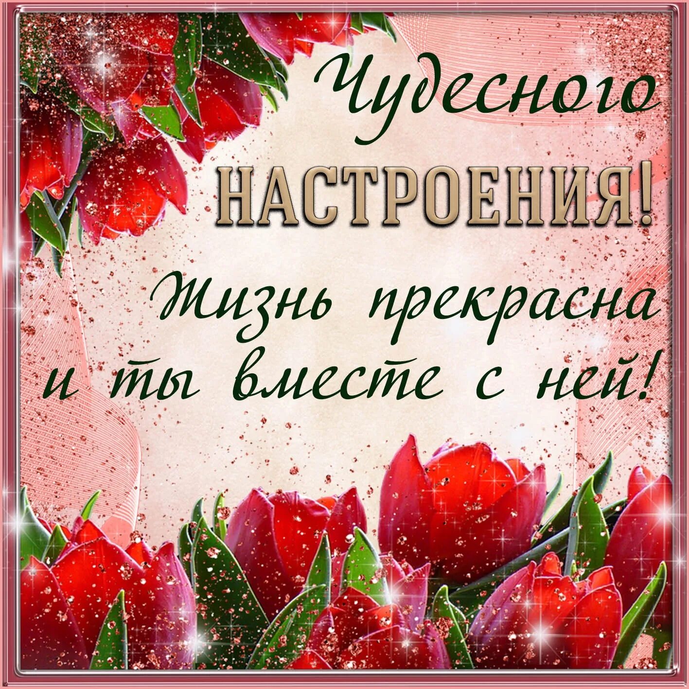 Пожелаете чудесного настроения. Открытки прекрасного настроения. Открытки с пожеланиями на каждый день. Красивые пожелания на весь день. Открытка прекрасный день.