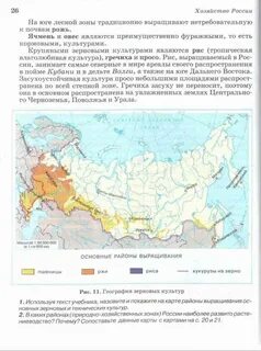 Главными районами выращивания пшеницы являются