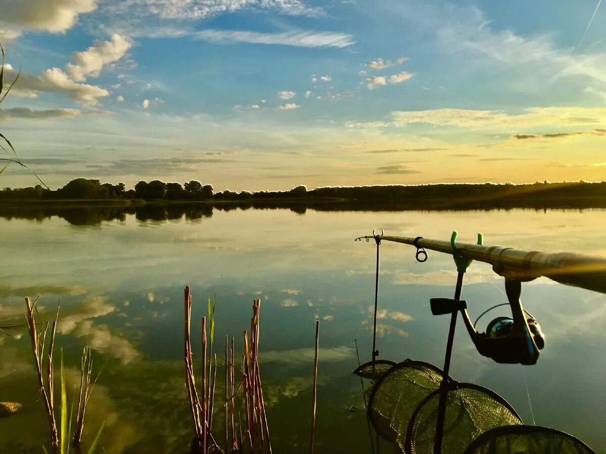 александр мельников пейзажи маслом. рыболову легче всего открывается красота природы. речной пейзаж. рыболову легче всего открывается красота природы. рыбалка вечером на пруду.