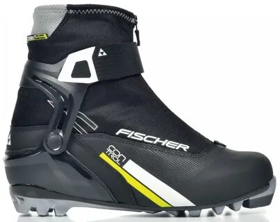 Fischer black