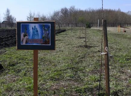 Алексеевское рязанская область