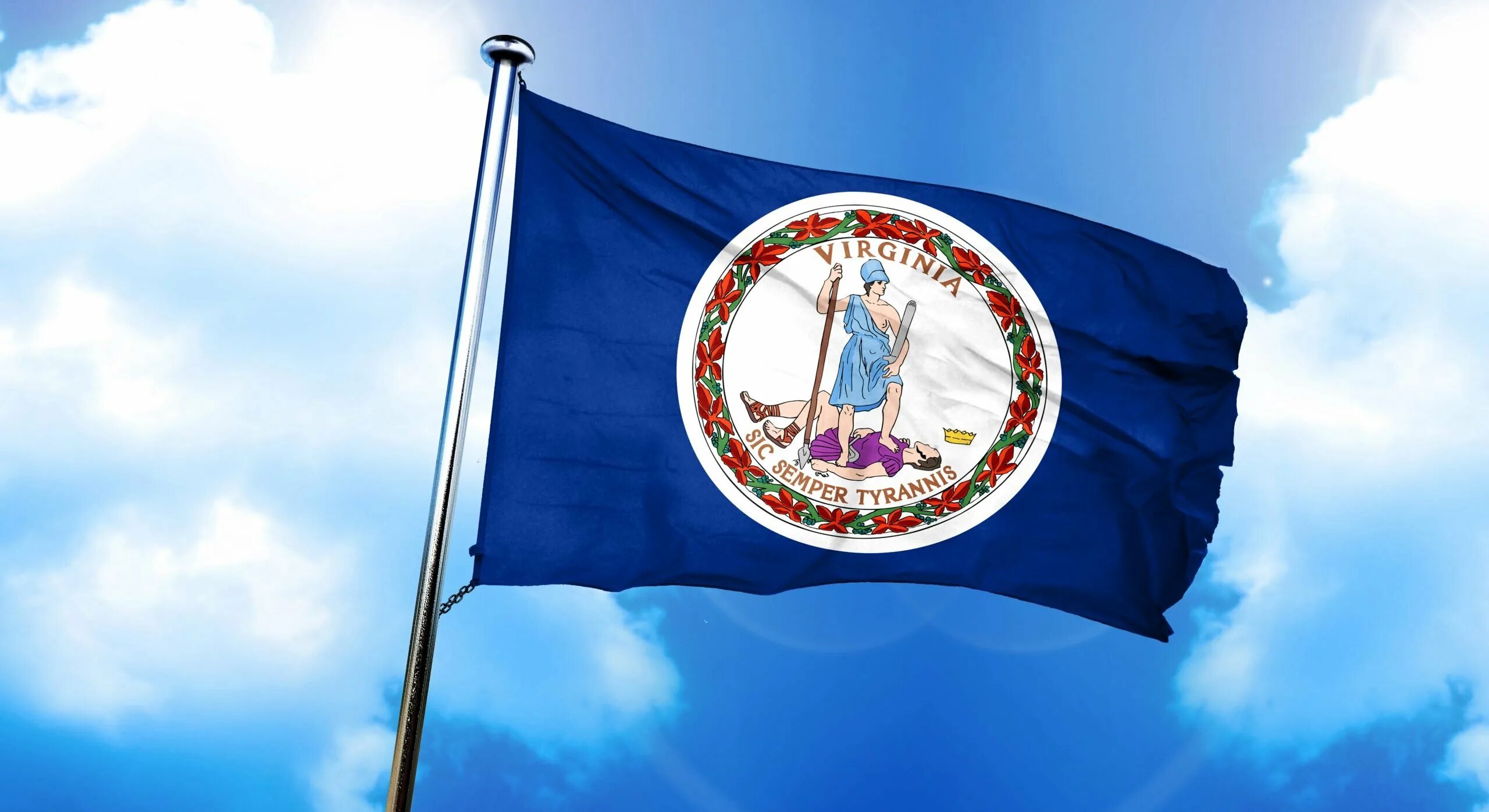 Флаги картины